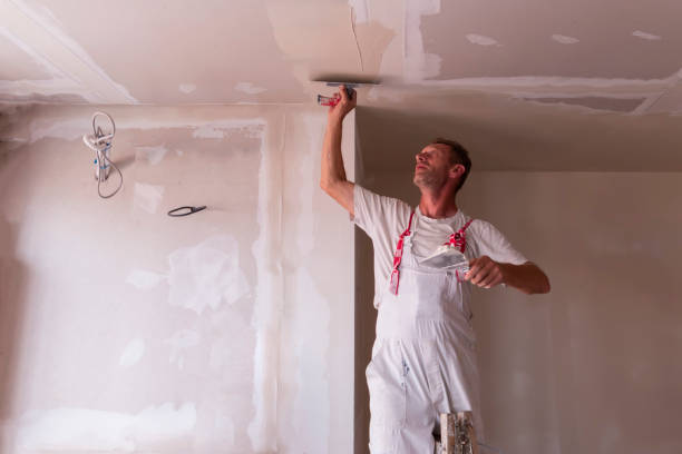 Reliable Elmwood Park, NJ Dry wall and painting Solutions